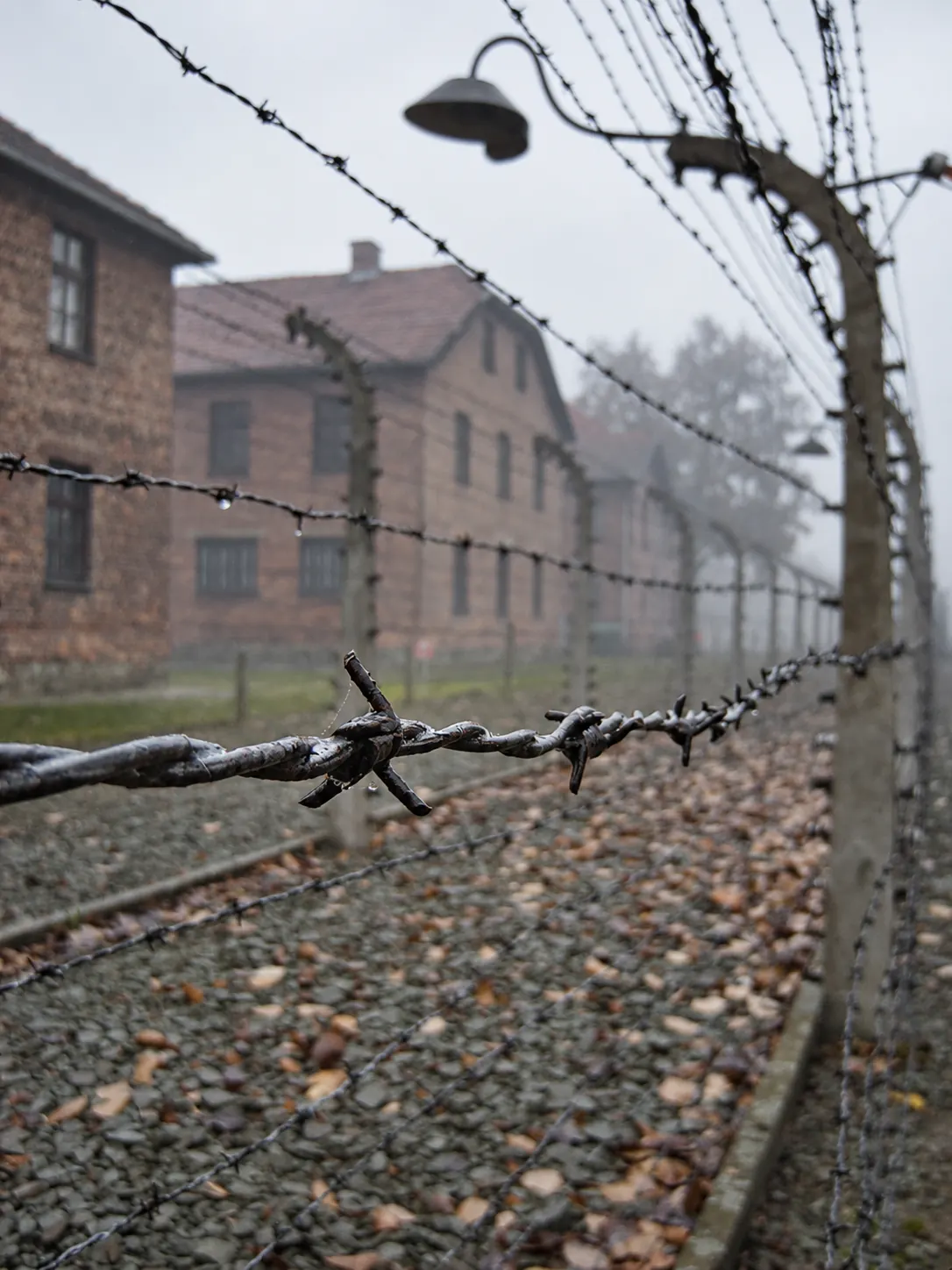 Barbed wire and former camp buildings in mist