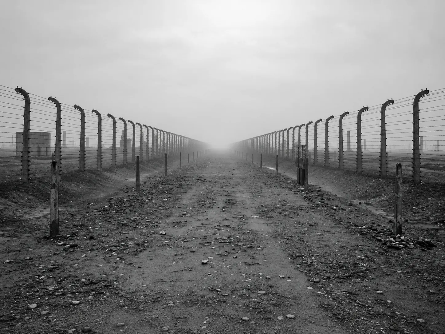 Road between historic camp fences at Auschwitz II-Birkenau